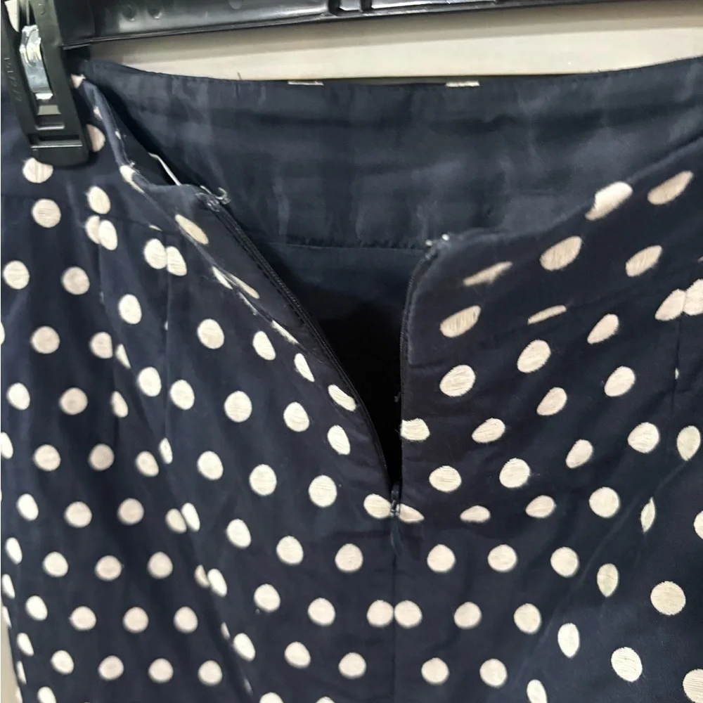 Banana Republic Navy Polka Dot Skirt